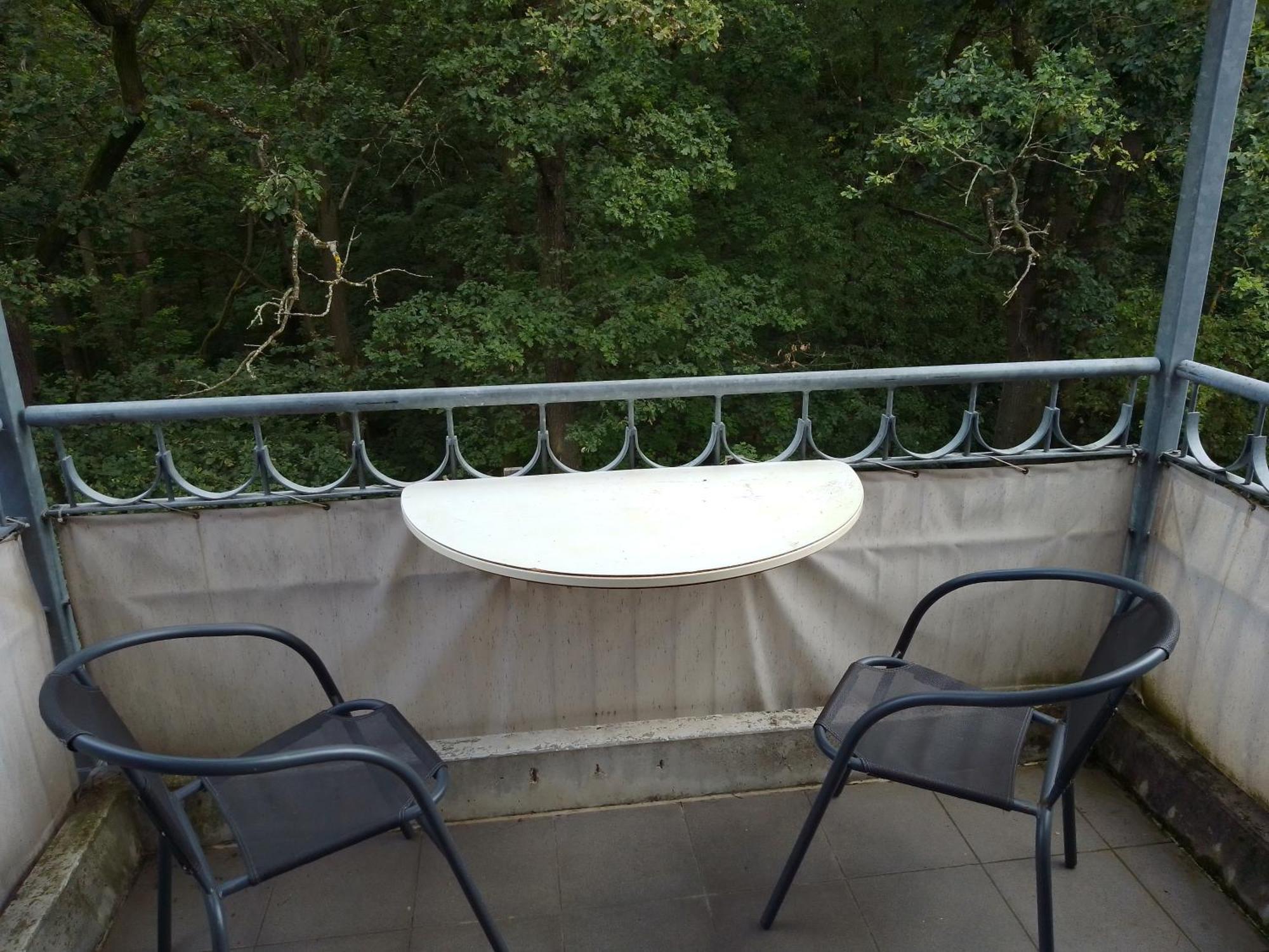 Apartment Preisselpoehl Plauen Esterno foto